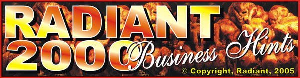Business Hints Banner